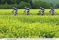 Ronde van Duitsland<br />6e etappe: KULMBACH - OBERWIESENTHAL<br /><br />Foto: Tim De Waele / Isosport