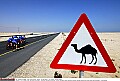 Ronde van Qatar <br />27 & 28 januari 2005<br />Training<br /><br />FOTO: TIM DE WAELE