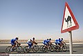 Cycling : Tour Qatar 2006Illustration Illustratie / Landscape Paysage Landschap Dessert Woestijn / BOONEN Tom ( Bel ) / HULSMANS Kevin ( Bel ) / VAN IMPE Kevin ( Bel ) / TRENTI Guido ( Ita ) / KNAVEN Servais ( Ned ) / TOSATTO Matteo ( Ita ) / PEETERS Wilfried ( Bel ) SportsdirectorTraining Quick-Step InnergeticEquipe / Ploeg / QSI