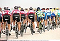 Ronde van Qatar 2007<br /><br />Foto's: Cor Vos en Tim de Waele