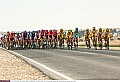 Ronde van Qatar 2007<br /><br />Foto's: Cor Vos en Tim de Waele
