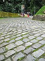 Eneco Tour<br />6e etappe Maldegem - Brussel<br /><br />Foto: Evert de Moor