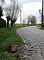 Dwars door Vlaanderen<br />25 maart 2009<br /><br />Foto: Evert de Moor