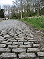 Dwars door Vlaanderen<br />25 maart 2009<br /><br />Foto: Evert de Moor