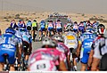 Cycling : 8th Tour of Qatar / Stage 2Illustratie Illustration / Peleton Peloton / Bordures Waaiers / Khalifa Stadium - Al Khor Corniche (134 Km) / Rit Etape / &copy; Tim De Waele