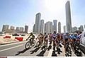 Cycling : 8th Tour of Qatar / Stage 4Illustration Illustratie / Peleton Peloton / DOHA City Ville Stad / Landscape Paysage Landschap / Maarten WYNANTS (Bel) /Doha Old Souq - Madinat Al Shamal  (141 Km) / Rit Etape / &copy; Tim De Waele