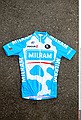 Cycling : 8th Tour of Qatar / Stage 6Illustration Illustratie / Jersey Maillot Trui / Team Milram (Ger) /Sealine Beach Resort - Doha Corniche (121 Km) / Rit Etape / &copy; Tim De Waele