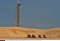 Cycling : 8th Tour of Qatar / Stage 6Illustration Illustratie / Peleton Peloton / Dessert Woestijn / Landscape Paysage Landschap /Sealine Beach Resort - Doha Corniche (121 Km) / Rit Etape / &copy; Tim De Waele